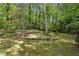 Green backyard featuring tiered landscaping, mature trees, and natural light at 205 Glencourtney Dr, Sandy Springs, GA 30328