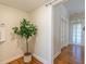 Hallway with hardwood floors, neutral paint, and an indoor tree creates a warm, inviting atmosphere at 1015 Piedmont Ne Ave # A2, Atlanta, GA 30309