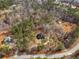 Expansive aerial view of a stately home nestled among lush trees, offering privacy and natural beauty at 355 Parker Rd, Covington, GA 30014
