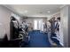 Well-equipped home gym featuring a variety of machines for a full-body workout at 4955 Day Lily Nw Way, Acworth, GA 30102