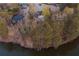 Aerial view of a home with lake access, surrounded by mature trees at 4852 Jacobs Cove Pt, Buford, GA 30519