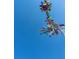 Colorful yard art with multiple spinning elements in a flower pattern set against a bright blue sky at 3076 Harris Mill Ct, Duluth, GA 30096