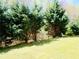 Lush backyard with grassy lawn, mature evergreen trees, and wooded area at 1980 Beyers Landing Dr, Buford, GA 30519