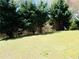 Backyard showcasing lush green lawn bordered by mature pine trees and forest at 1980 Beyers Landing Dr, Buford, GA 30519