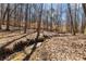 Backyard area with a small stream at 400 Surveyors Pt, Suwanee, GA 30024