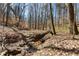 Backyard area with a small stream at 400 Surveyors Pt, Suwanee, GA 30024