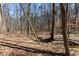 Secluded backyard featuring a small stream, offering a peaceful and natural setting at 400 Surveyors Pt, Suwanee, GA 30024