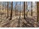 Lush wooded surroundings providing privacy and a natural backdrop for this property, a nature lover's dream at 400 Surveyors Pt, Suwanee, GA 30024