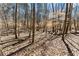 Picturesque wooded landscape with tall trees and a gentle stream meandering through, creating a tranquil environment at 400 Surveyors Pt, Suwanee, GA 30024