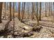 Scenic wooded area featuring a flowing stream and a natural landscape, perfect for nature enthusiasts at 400 Surveyors Pt, Suwanee, GA 30024