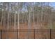 Iron fence borders treeline, with ground covered in fallen leaves at 5 Dew Drop Pt, Dallas, GA 30157