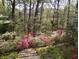 Landscaped backyard with azaleas and a stone path through the trees at 12 Braemore Dr, Atlanta, GA 30328