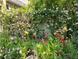 Lush backyard garden with roses, lilies, flowering vines, and an abundance of greenery at 12 Braemore Dr, Atlanta, GA 30328