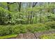 Lush backyard with mature trees and flowering bushes along stone pathway at 12 Braemore Dr, Atlanta, GA 30328