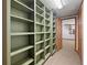 Custom shelving provides ample storage in this hallway with neutral carpet and access to other rooms at 2049 Castleway Ne Ln, Atlanta, GA 30345