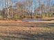 Landscaped asphalt basketball court with a hoop and trees at 1202 Coan Dr, Locust Grove, GA 30248