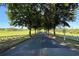 Scenic street view with mature trees and a view of the golf course, speed limit 25 at 6335 Hampton Creek Dr, Cumming, GA 30041