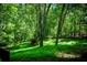Wooden chicken coop on a grassy lot surrounded by tall green trees on the property at 3013 Rockview Dr, Loganville, GA 30052