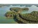 Beautiful aerial view of the lake and islands covered with lush, green trees in a scenic landscape at 630 Silva St, Cumming, GA 30040