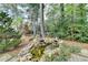 Backyard waterfall feature surrounded by natural landscaping and mature trees at 803 Amerden Ponds Ct, Johns Creek, GA 30097