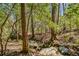 Scenic creek flowing through the wooded property, showcasing the natural beauty at 263 Keller Dr, Mcdonough, GA 30252