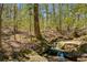 Small waterfall cascading over rocks in a serene, wooded setting with lush greenery at 263 Keller Dr, Mcdonough, GA 30252