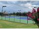 Well-maintained community tennis courts with lighting for evening play, and attractive landscaping at 910 Shannon Mist Dr, Loganville, GA 30052