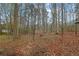 Wooded backyard with mature trees offering privacy and tranquility at 2735 Peachtree Walk, Duluth, GA 30096
