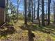 A backyard featuring mature trees, with moss covered grass and a shed at 2943 E Howell Dr, Lawrenceville, GA 30044