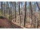 Forested backyard view, showing many trees with foliage and sunlight at 210 Woodcliff Dr, Atlanta, GA 30350