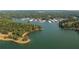Lakeside community aerial view with marina and lush greenery along the shoreline at 636 Silva St, Cumming, GA 30040