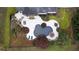 Aerial view of an in-ground pool, patio, outdoor kitchen, landscaping and private fenced-in backyard at 12680 Old Surrey Pl, Roswell, GA 30075