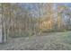 A view of the backyard with trees in the background at 355 Double D Rd, Temple, GA 30179