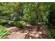 Lush landscape features a stone pathway winding through mature trees, creating a serene and inviting outdoor space at 2440 Peachtree Nw Rd # 1, Atlanta, GA 30305