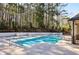 Community pool surrounded by lush trees, offering a serene and private swimming experience at 2384 Provence Park Way, Decatur, GA 30033