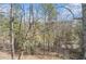 Scenic backyard view through the trees, possibly overlooking a pond or natural area at 625 Sycamore Glen Nw Ct, Lawrenceville, GA 30044