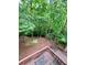 Scenic view from the deck of the private, wooded backyard, complemented by an American flag at 802 Eagle Glen Xing, Woodstock, GA 30189