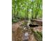 Picturesque creek flowing through the wooded property, perfect for nature lovers at 802 Eagle Glen Xing, Woodstock, GA 30189