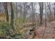 A picturesque creek flowing through a wooded area, enhancing the property's natural beauty and serene ambiance at 802 Eagle Glen Xing, Woodstock, GA 30189