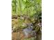A clear stream trickles through the lush forest, enhancing the property's natural charm at 802 Eagle Glen Xing, Woodstock, GA 30189
