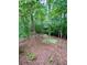 Landscaped backyard with wooded surroundings features a cozy fire pit area for relaxing outdoors at 802 Eagle Glen Xing, Woodstock, GA 30189