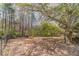 Tranquil backyard with mature trees, offering a serene and private outdoor space at 3828 Morning Meadow Ln, Buford, GA 30519
