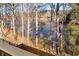 A serene lake view through the bare branches of winter trees, seen from the back of the property at 2517 Hampton Park Ct, Marietta, GA 30062
