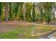 Backyard with lush greenery, mature trees, and a stone pathway leading through the landscape at 1893 Windsor Sw Dr, Atlanta, GA 30311