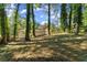 View of a charming home from the backyard with mature shade trees at 3524 Brookfield Ln, Decatur, GA 30032