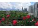 Gorgeous city view with skyline as seen from the balcony with bright red roses at 1130 Piedmont Ne Ave # 907, Atlanta, GA 30309