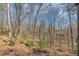 Scenic backyard with a lush, wooded area, mature trees, and natural landscaping at 980 Pine Grove Pointe Dr, Roswell, GA 30075