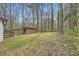 A large, green backyard with mature trees and a shed at 4953 Apple Valley Rd, Douglasville, GA 30135