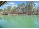 Scenic lake view with calm water and tree-lined shore, creating a tranquil and picturesque setting at 3795 Duckcove Way, Cumming, GA 30041