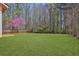 Expansive backyard with healthy lawn and bordering trees at 1045 Forest Path, Stone Mountain, GA 30088
